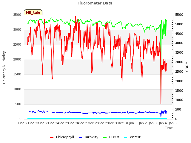 plot of Fluorometer Data