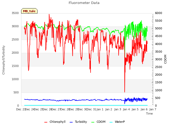 plot of Fluorometer Data