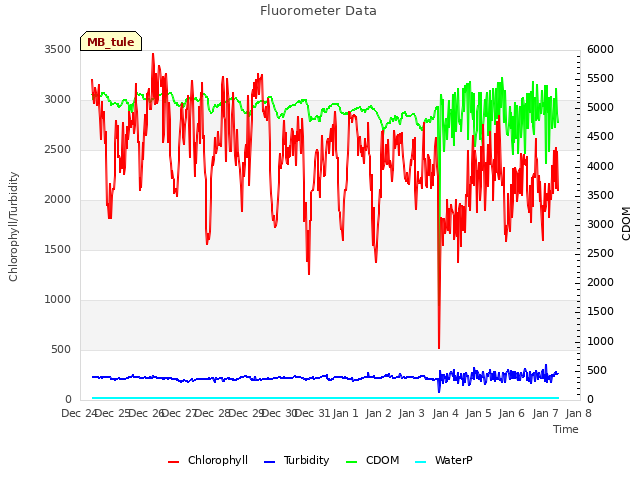 plot of Fluorometer Data