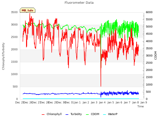 plot of Fluorometer Data