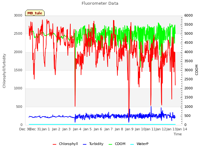 plot of Fluorometer Data