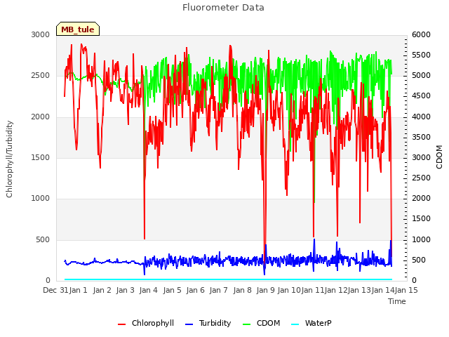 plot of Fluorometer Data