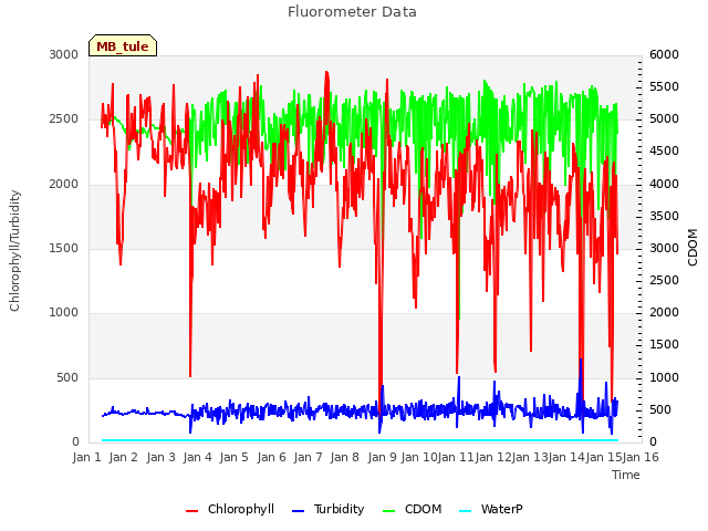 plot of Fluorometer Data