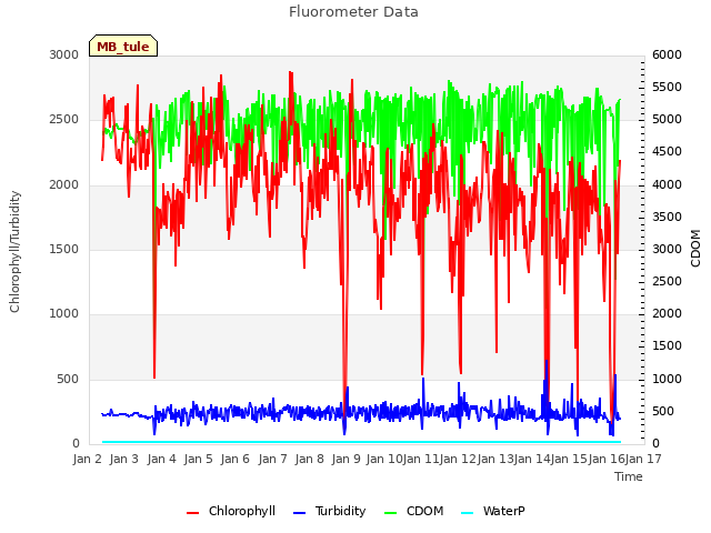 plot of Fluorometer Data