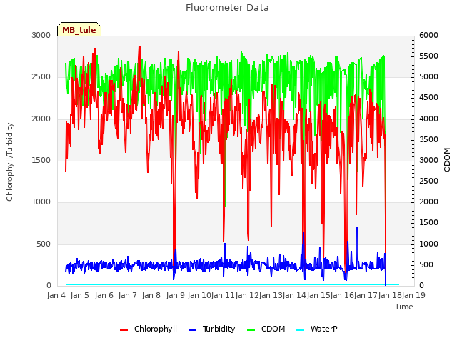 plot of Fluorometer Data