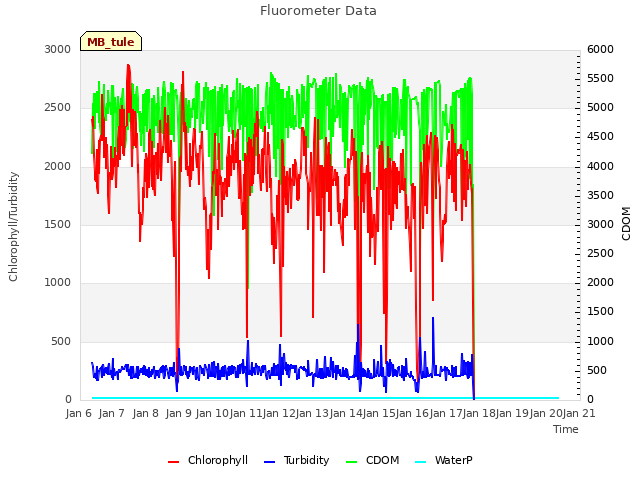 plot of Fluorometer Data