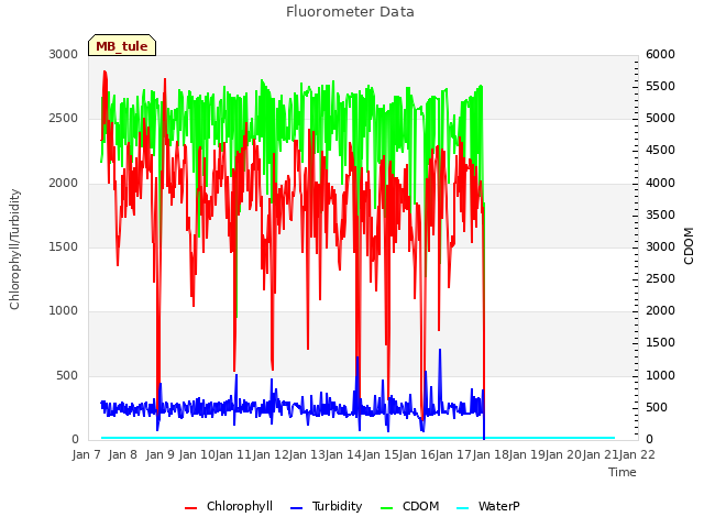 plot of Fluorometer Data