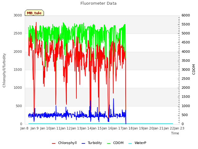 plot of Fluorometer Data