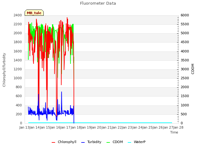 plot of Fluorometer Data