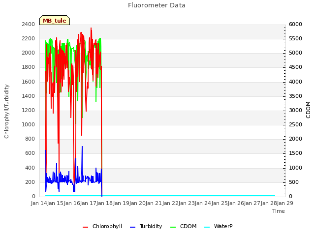 plot of Fluorometer Data