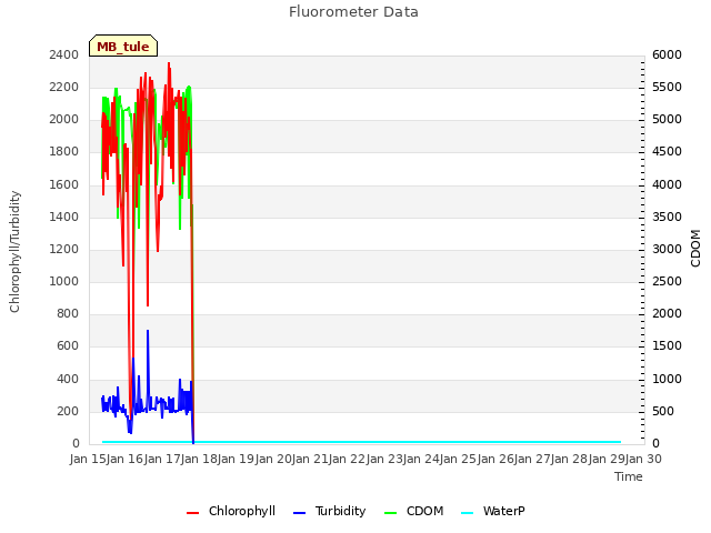 plot of Fluorometer Data