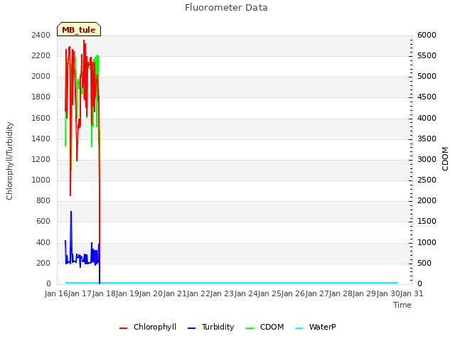 plot of Fluorometer Data