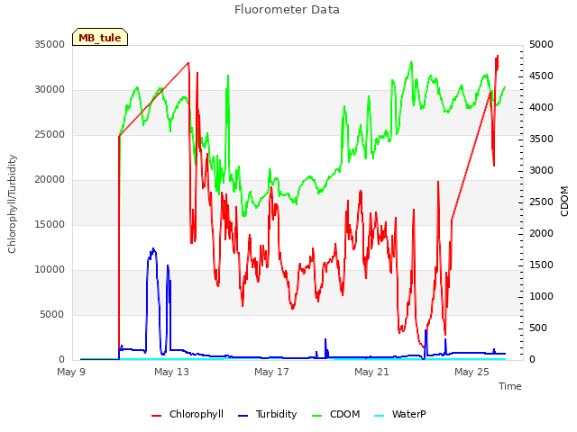 Explore the graph:Fluorometer Data in a new window