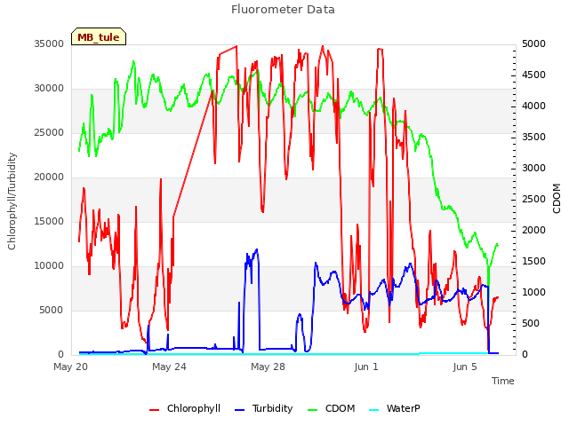 Explore the graph:Fluorometer Data in a new window
