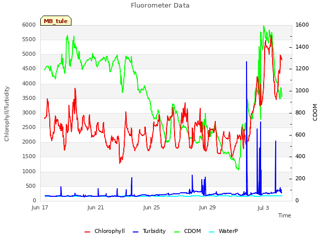 Explore the graph:Fluorometer Data in a new window