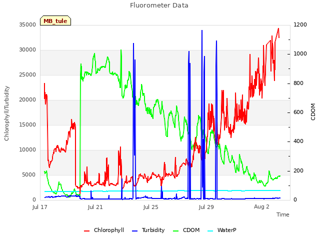 Explore the graph:Fluorometer Data in a new window