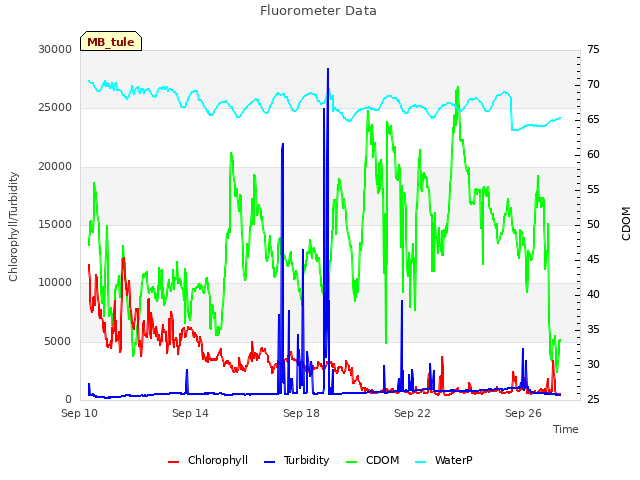 Explore the graph:Fluorometer Data in a new window