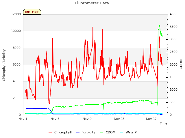 Explore the graph:Fluorometer Data in a new window