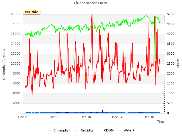 Explore the graph:Fluorometer Data in a new window