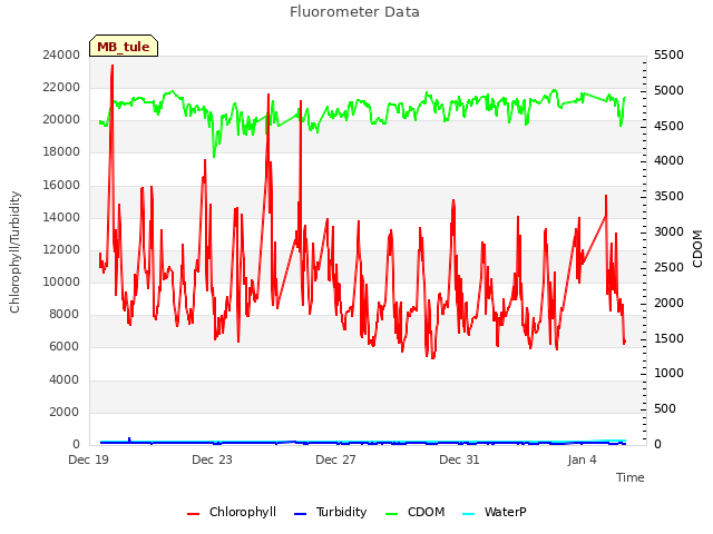 Explore the graph:Fluorometer Data in a new window