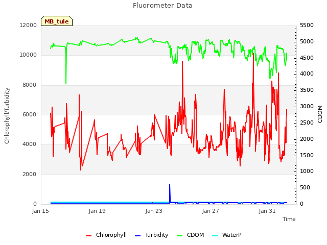 Explore the graph:Fluorometer Data in a new window