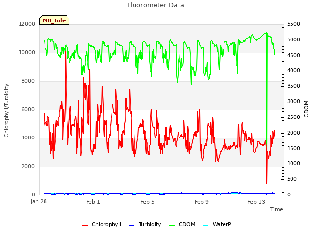 Explore the graph:Fluorometer Data in a new window