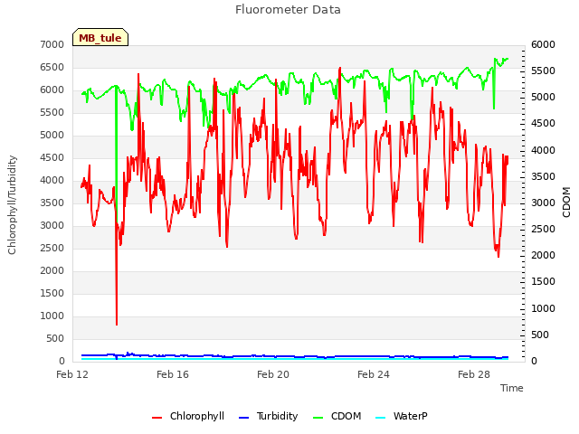 Explore the graph:Fluorometer Data in a new window