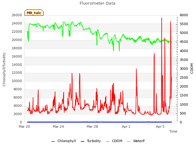 Explore the graph:Fluorometer Data in a new window