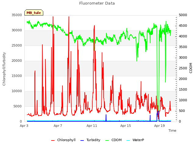 Explore the graph:Fluorometer Data in a new window