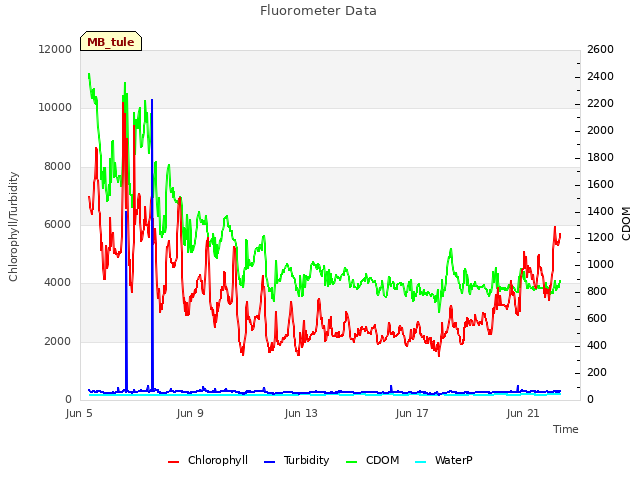 Explore the graph:Fluorometer Data in a new window