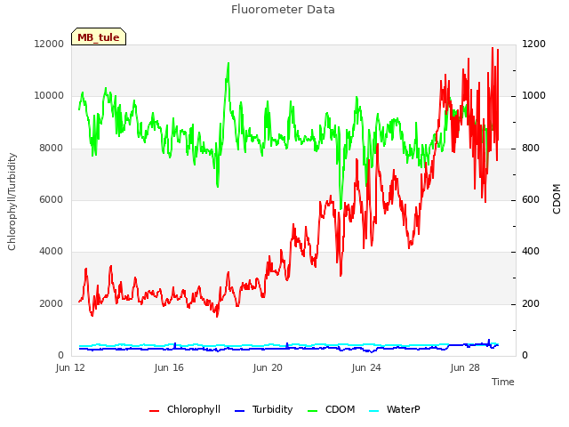 Explore the graph:Fluorometer Data in a new window