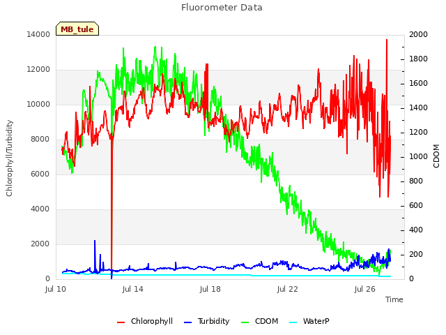 Explore the graph:Fluorometer Data in a new window