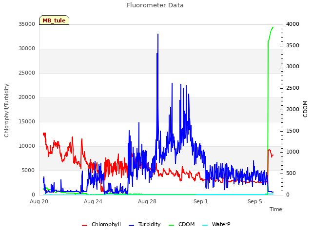 Explore the graph:Fluorometer Data in a new window