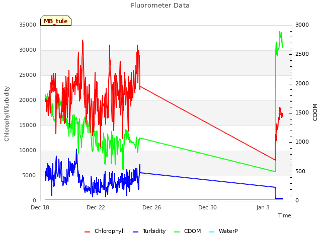 Explore the graph:Fluorometer Data in a new window