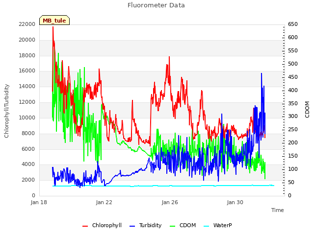 Explore the graph:Fluorometer Data in a new window