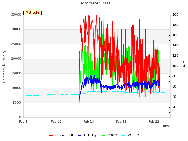 Explore the graph:Fluorometer Data in a new window