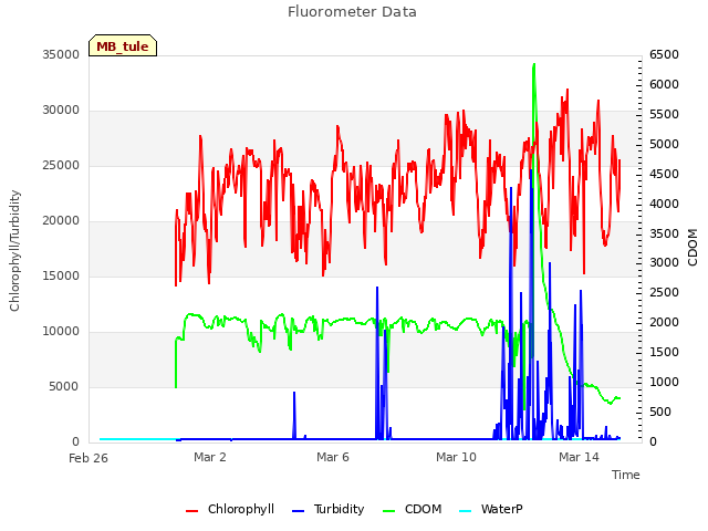 Explore the graph:Fluorometer Data in a new window