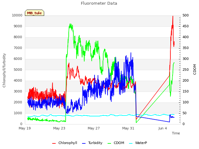 Explore the graph:Fluorometer Data in a new window