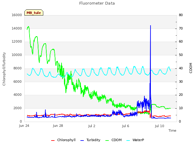 Explore the graph:Fluorometer Data in a new window