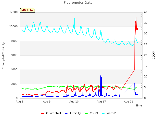 Explore the graph:Fluorometer Data in a new window