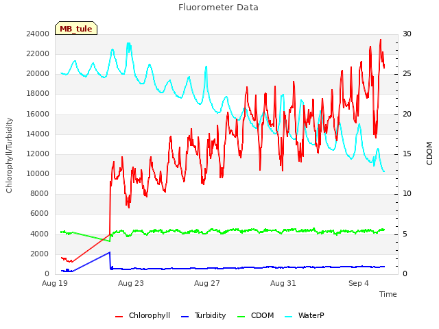 Explore the graph:Fluorometer Data in a new window