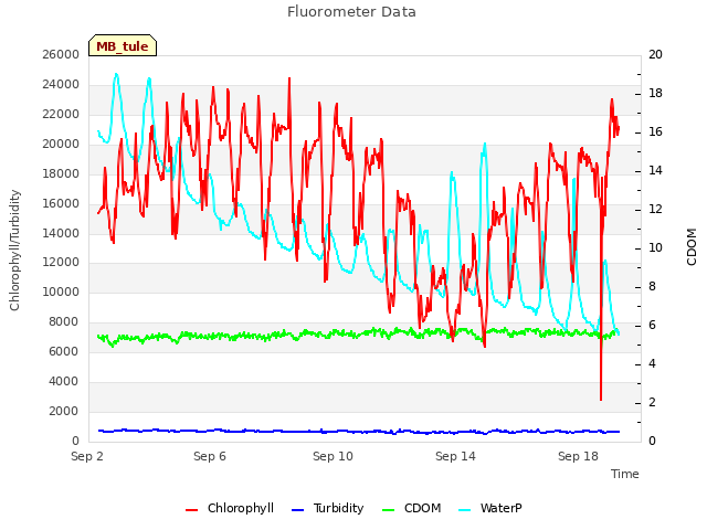 Explore the graph:Fluorometer Data in a new window