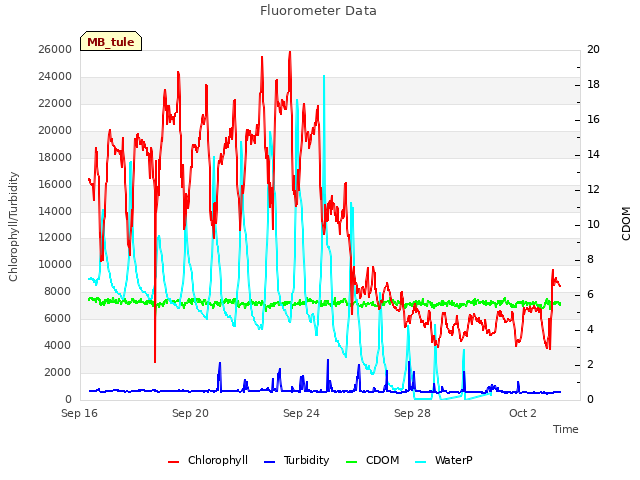 Explore the graph:Fluorometer Data in a new window