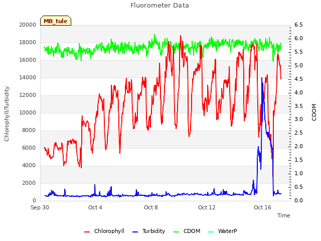 Explore the graph:Fluorometer Data in a new window