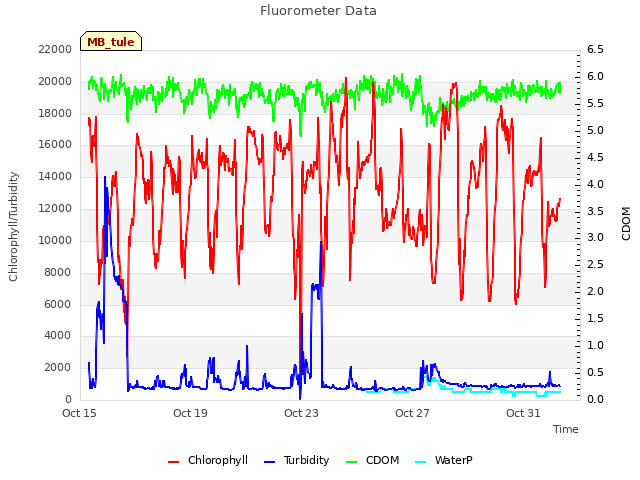 Explore the graph:Fluorometer Data in a new window