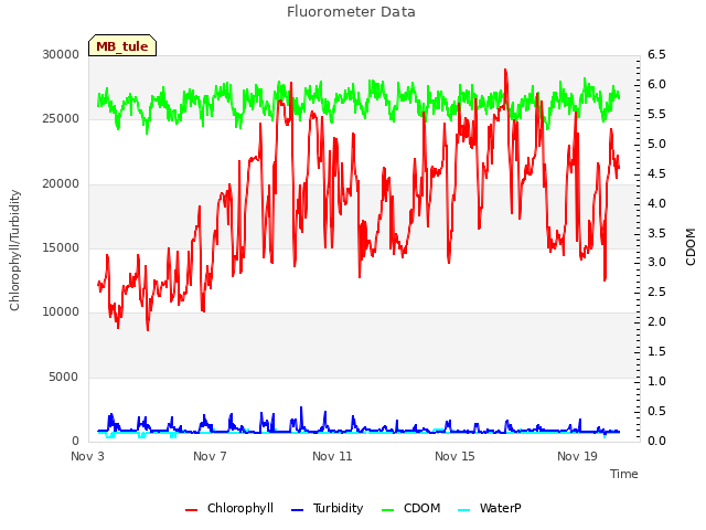 Explore the graph:Fluorometer Data in a new window