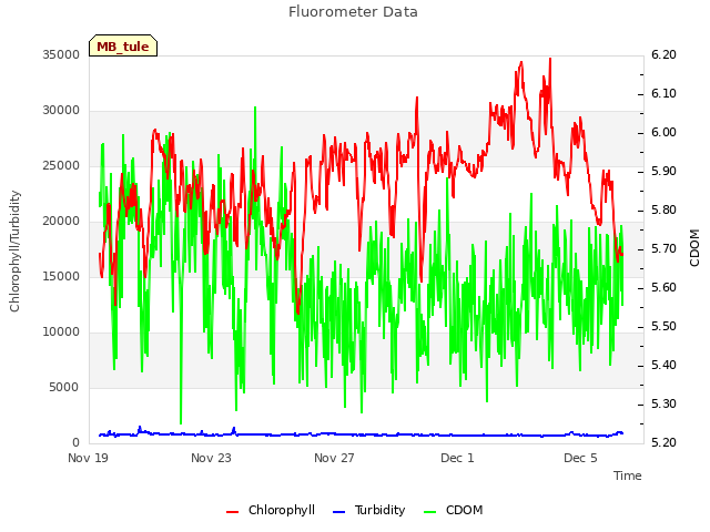 Explore the graph:Fluorometer Data in a new window