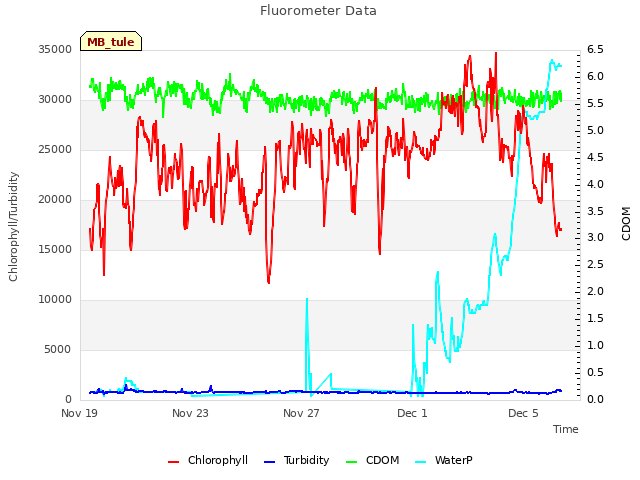 Explore the graph:Fluorometer Data in a new window