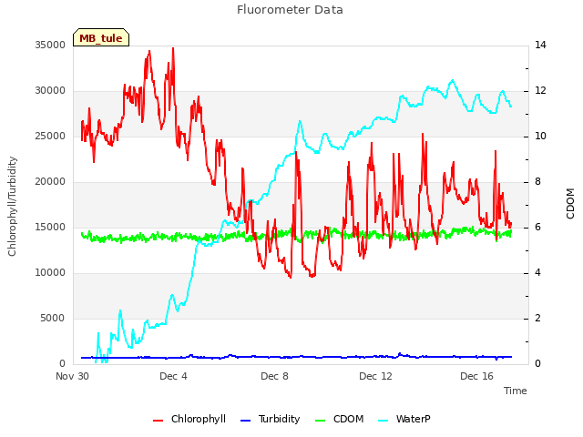 Explore the graph:Fluorometer Data in a new window