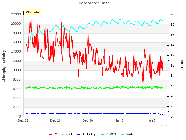 Explore the graph:Fluorometer Data in a new window